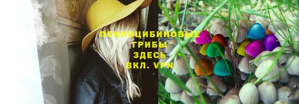 амф Богородицк