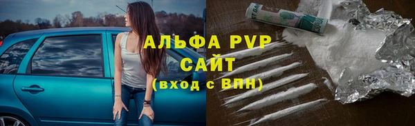 крисы Богданович