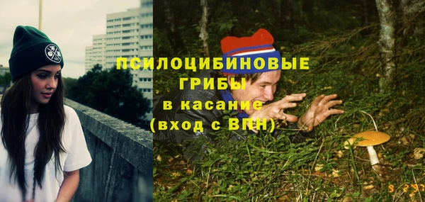 скорость Богородск