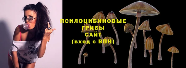 крисы Богданович