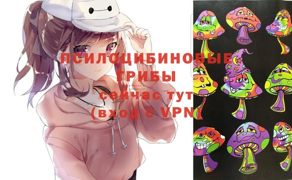 скорость Богородск