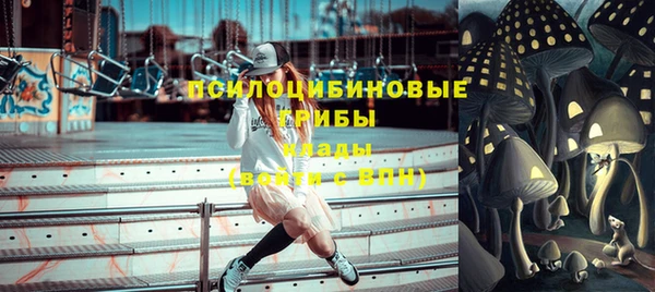 крисы Богданович