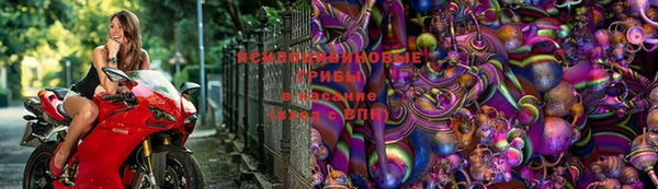 скорость Богородск