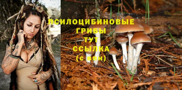 скорость Богородск