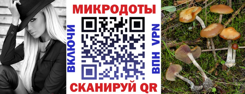 Купить  Себеж  Галлюциногенные грибы MAGIC MUSHROOMS 